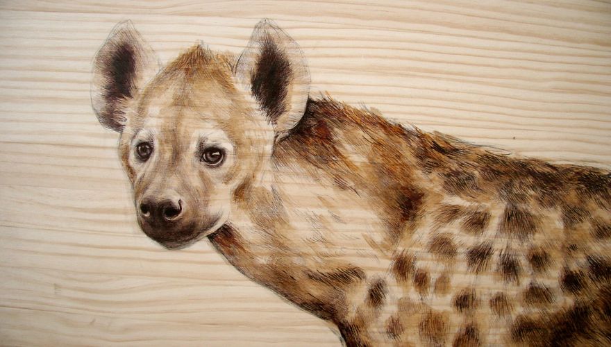 My Nature-Inspired Drawings That I Create On Recycled Wood My Nature-Inspired Drawings That I Create On Recycled Wood