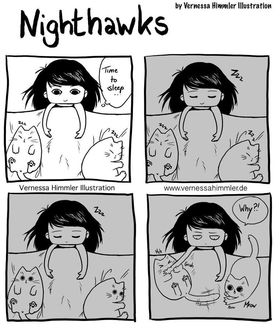 My Diary Comics About My Life With Two Cheeky Cats