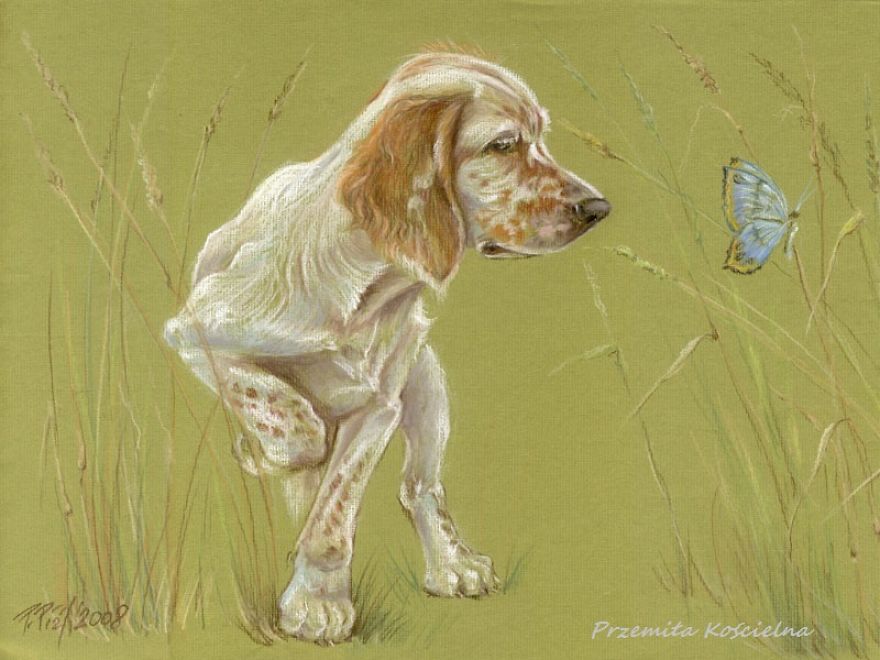 Spring Time! English Setter Puppy