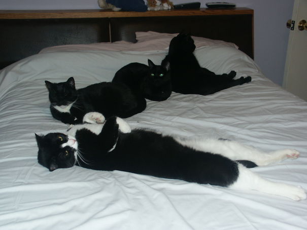 I Think We Should Get A Bigger Bed.