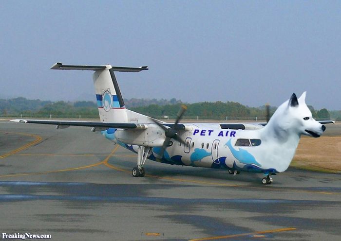 New Plane From United Airlines, Now They Will Beat Animals Also