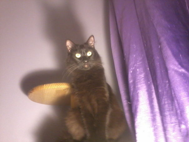 I'm Watching You. . .