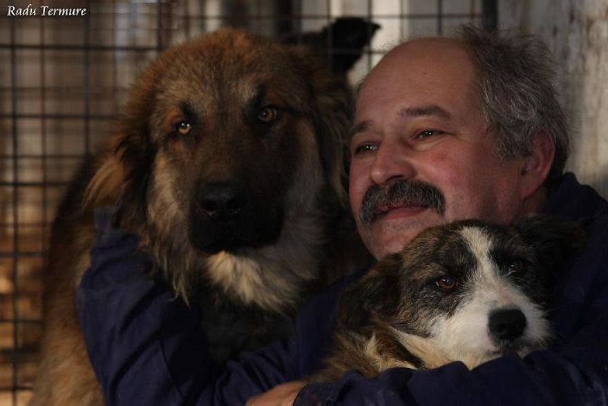 950 Dogs Will Lose Their Refuge At The End Of This Month And They Need Your Help 950 Dogs Will Lose Their Refuge At The End Of This Month And They Need Your Help