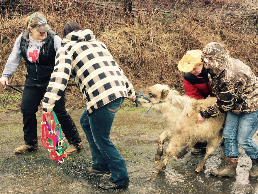 Rascal's Amazing Transformation