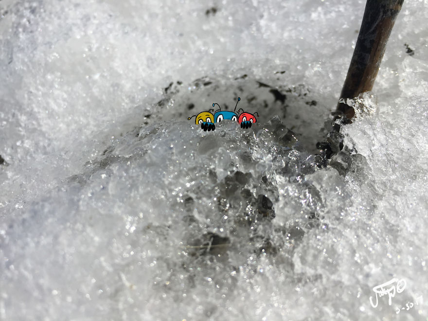 Creatures From The Cold, Icy Tundra...