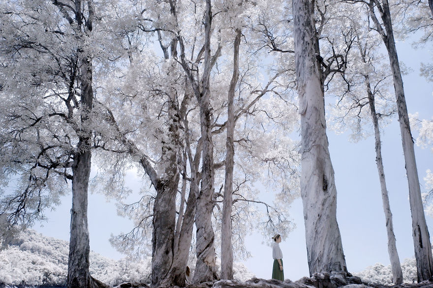 I Photographed Hong Kong Shing Mun Reservoir With Ir Filter