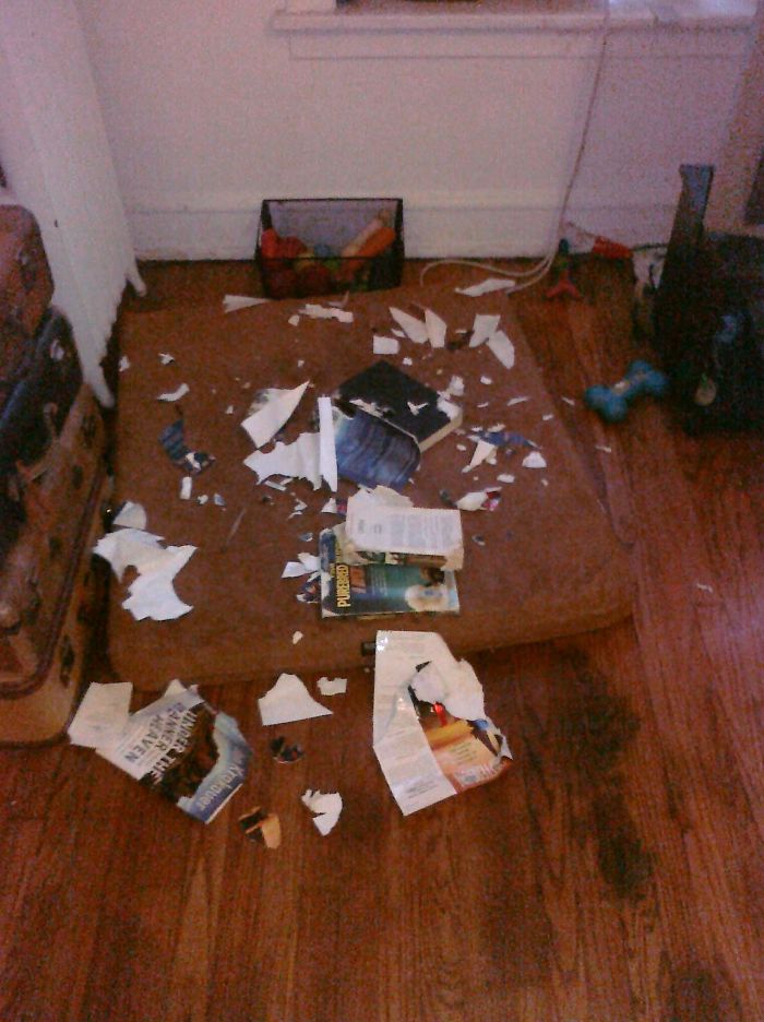 Look At What I Can Do Mom