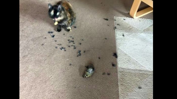 It Would Seem Sasha Had A Fun Night..