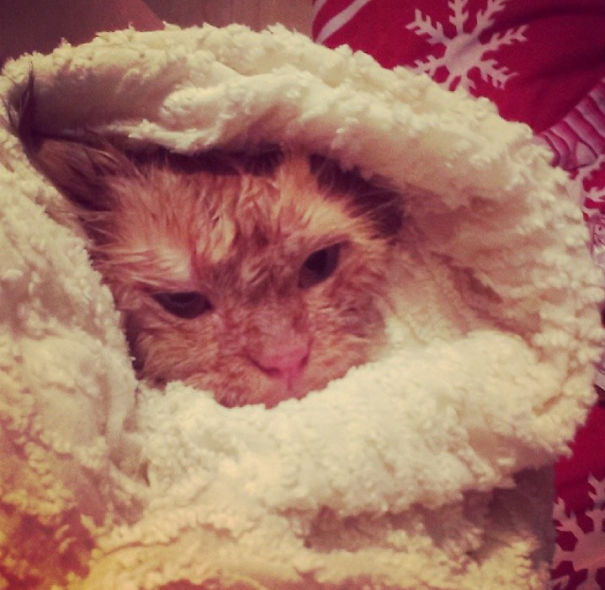 Every Time She's Fresh Out Of The Shower ! Xd