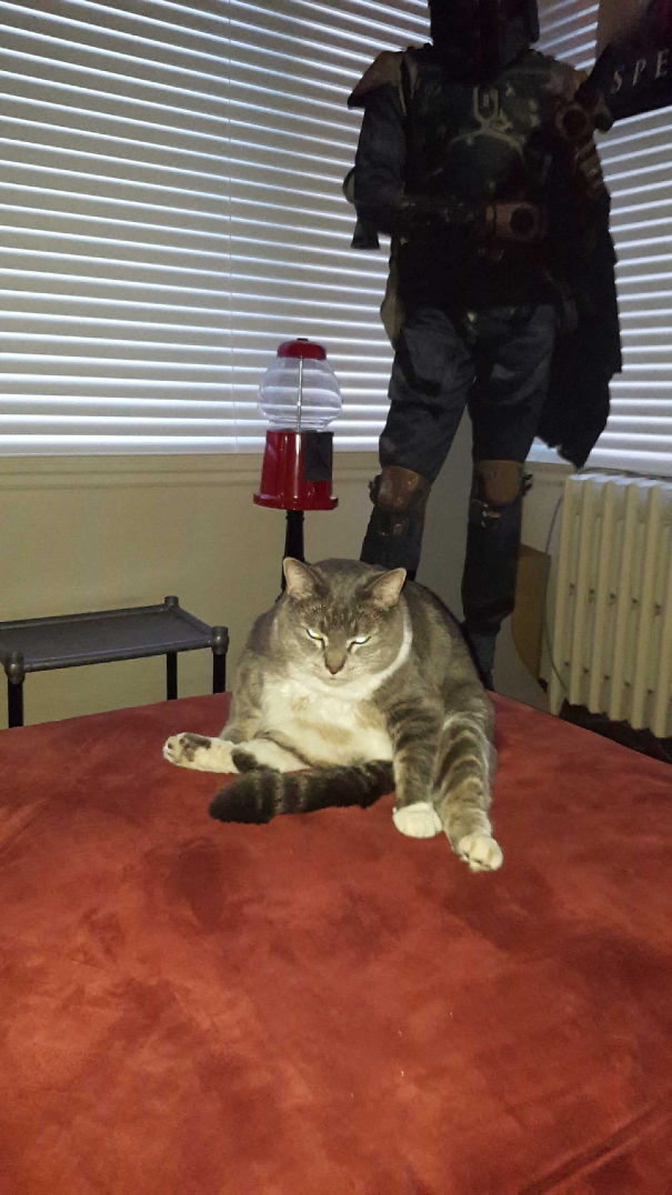 Don't Mention Her Weight.