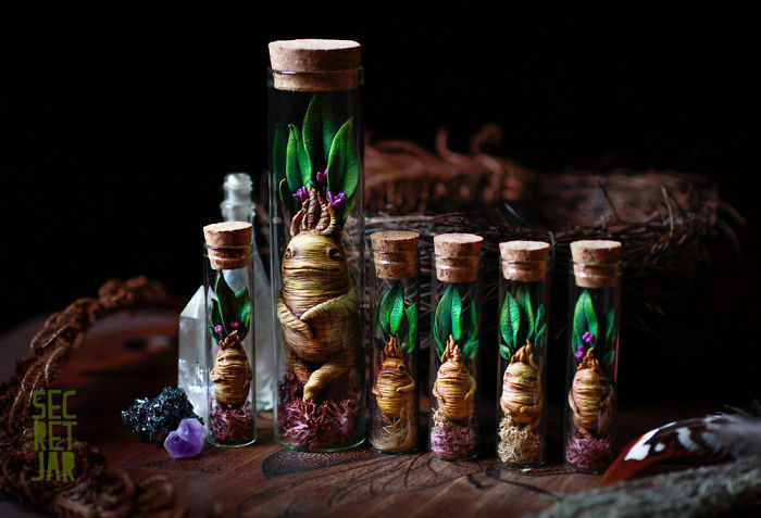 Secret Jar: World Of Witchcraft And Wizardry Created By Russian Craftswoman