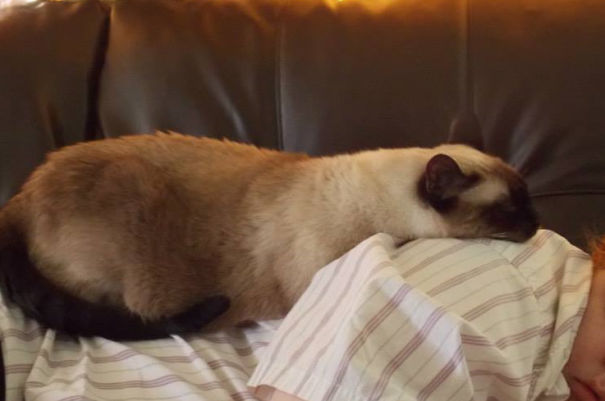 Ha! She Can't Move While I've Got Her Pinned Down!