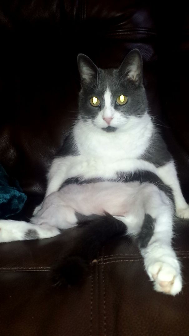 In The Middle Of Telling Her A Bedtime Story