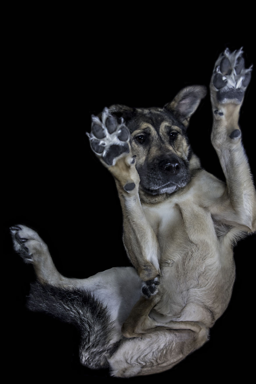 The Underdogs Project!