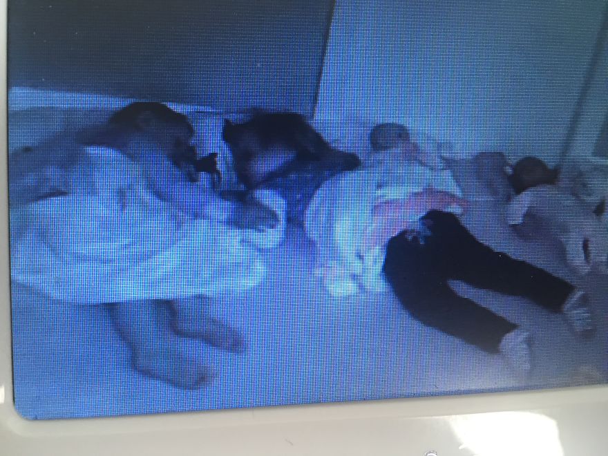 When My Children Show Their Love For One Another: The Upside To Having 3 Little Kids