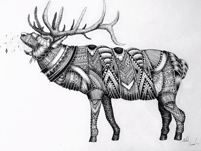 The Surreal Mind Of Drew