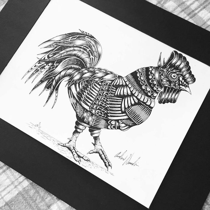 The Surreal Mind Of Drew