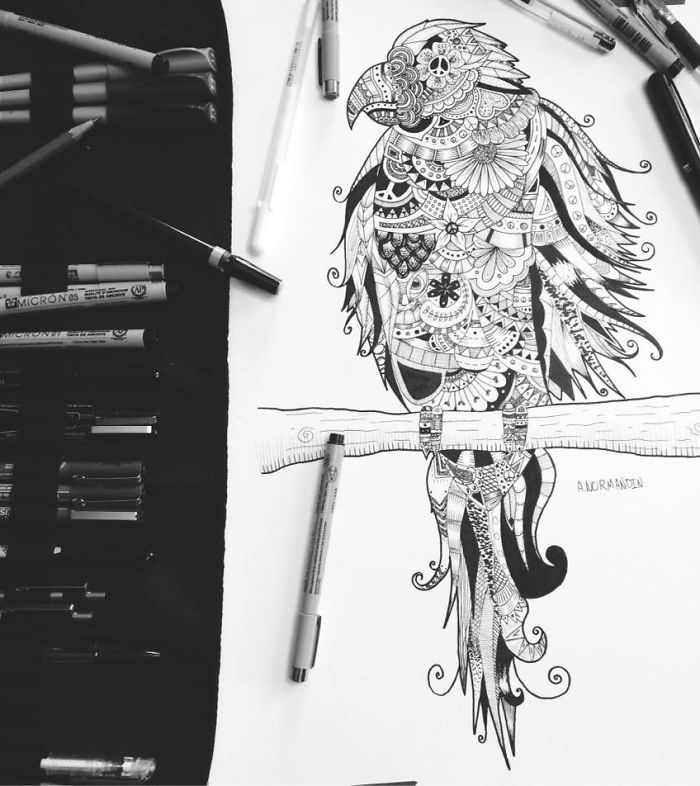 The Surreal Mind Of Drew