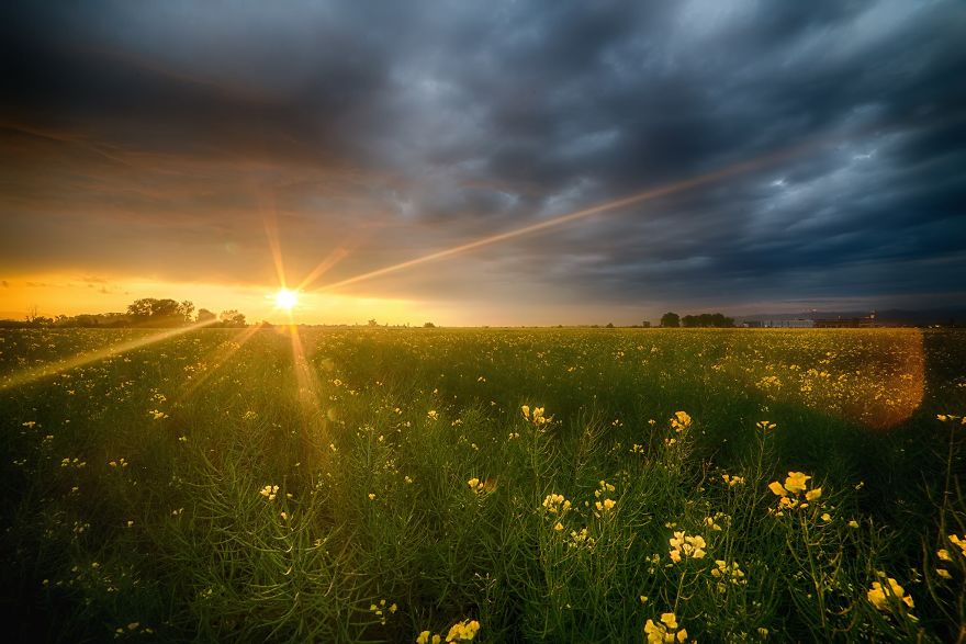 The Most Beautiful Pictures I've Taken In Bulgaria.