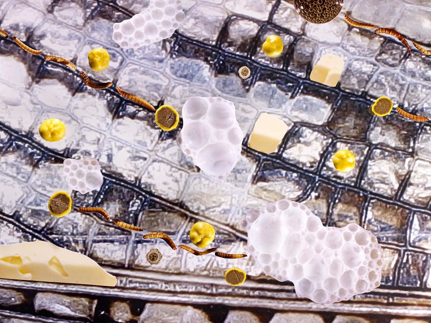 The Future Sausage: The Design Of The Sausages Explored, To Eat Less Meat In The Future The Future Sausage: The Design Of The Sausages Explored, To Eat Less Meat In The Future