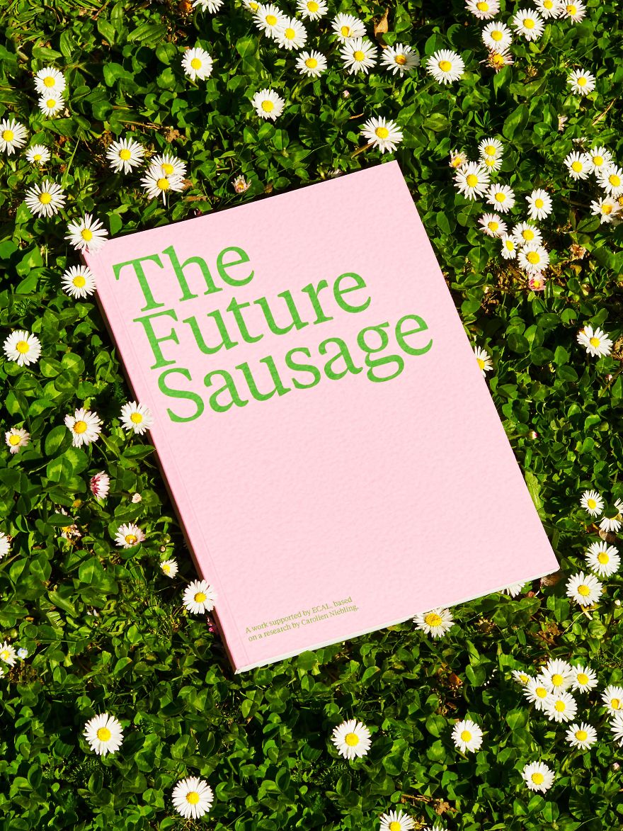 The Future Sausage: The Design Of The Sausages Explored, To Eat Less Meat In The Future The Future Sausage: The Design Of The Sausages Explored, To Eat Less Meat In The Future