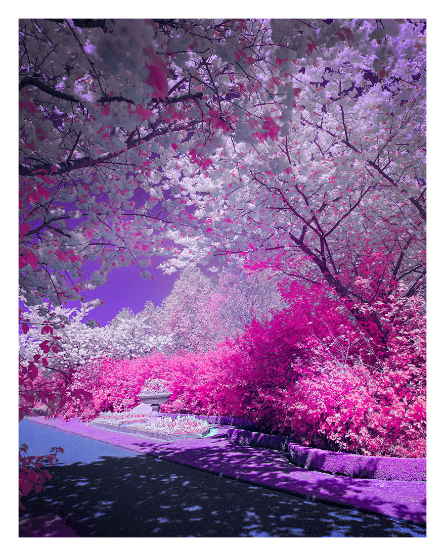 I Captured The Arrival Of Spring On London In Ultracolour