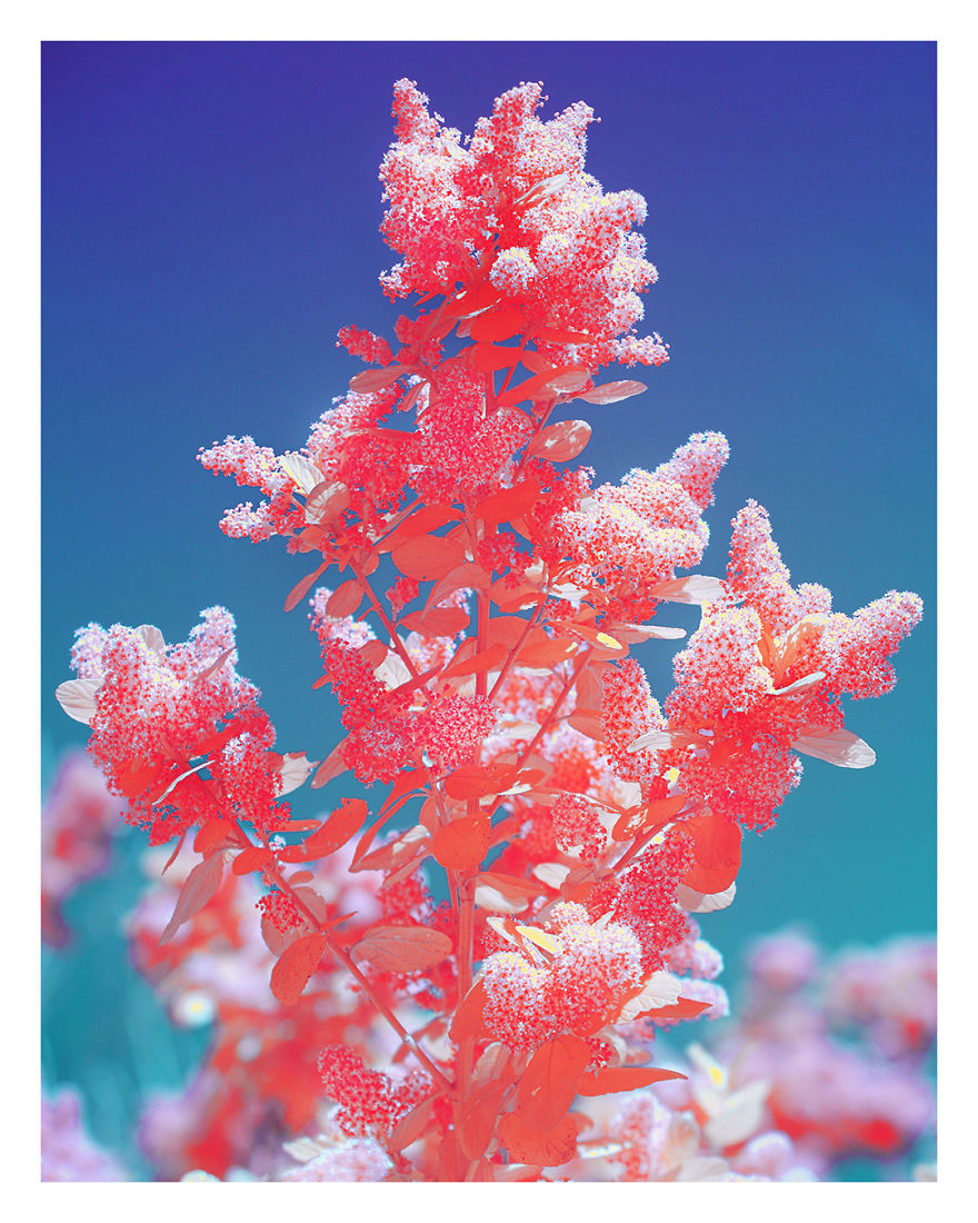 I Captured The Arrival Of Spring On London In Ultracolour