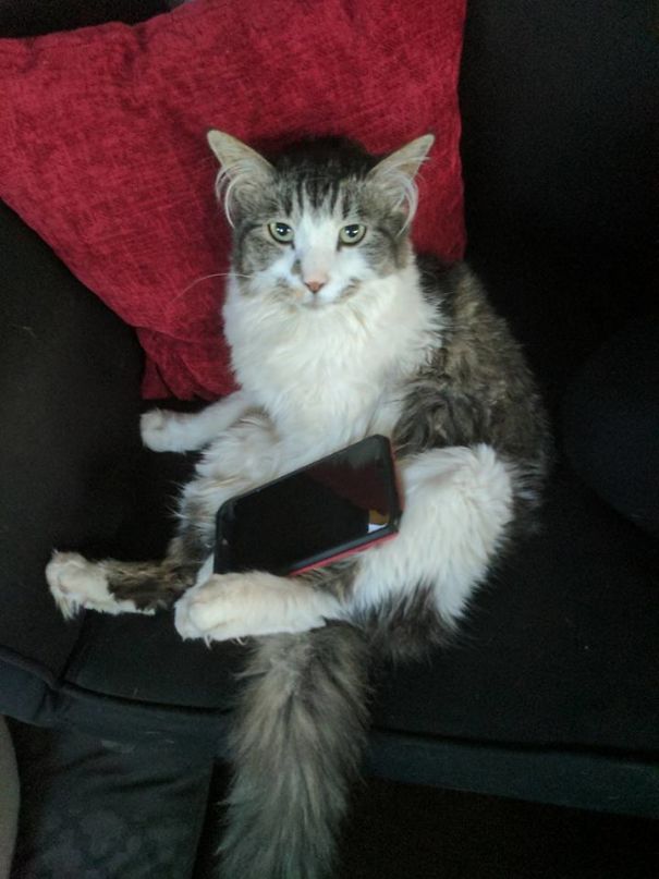 No, I Wasn't On The Phone...