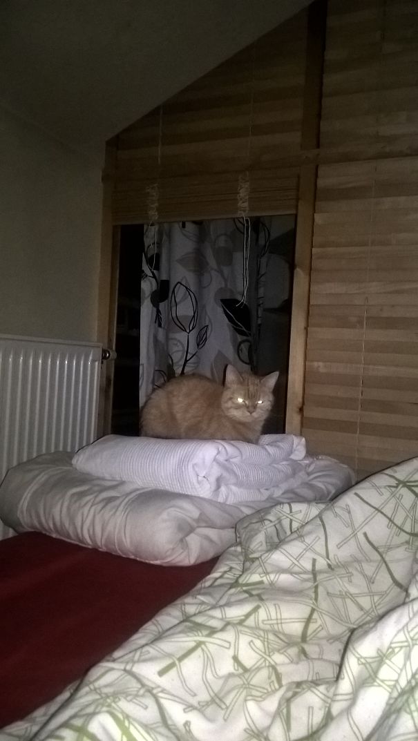 I Just Turn The Lights Off. She Doesn't Like Darkness.