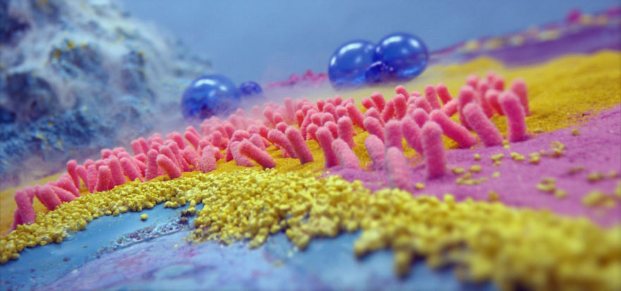 We Created A Visual Feast To Brighten Up Your Day We Created A Visual Feast To Brighten Up Your Day