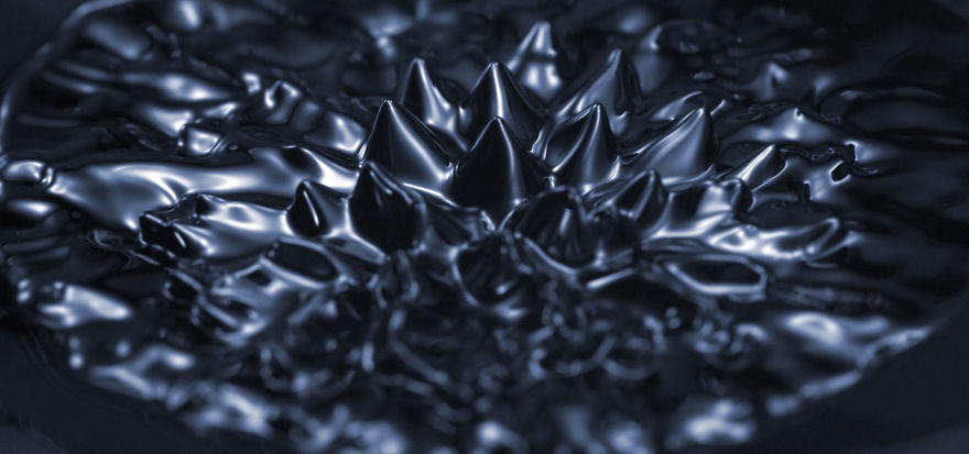 We Created A Visual Feast To Brighten Up Your Day