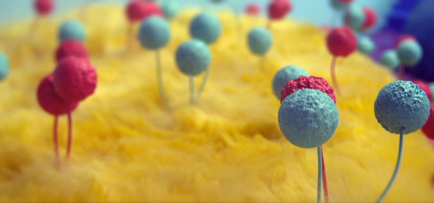 We Created A Visual Feast To Brighten Up Your Day