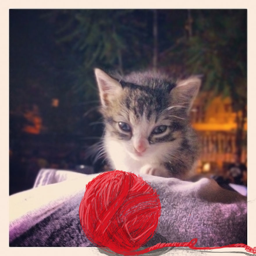 We Used Photography And Illustration To Make These Humorous And Surrealistic Images With A Bit Of Uncanny Aftertaste