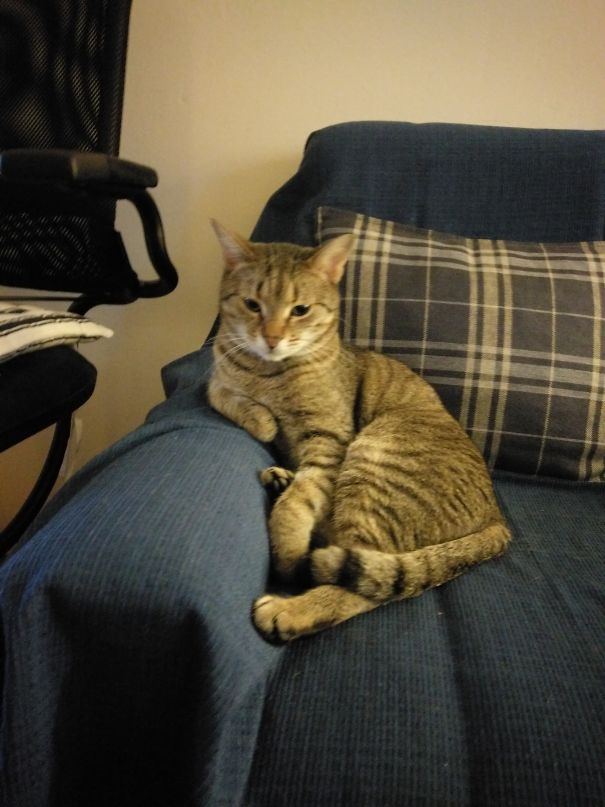 I'm So Worried About The Economic Crisis - Set An Appointment With My Secretary