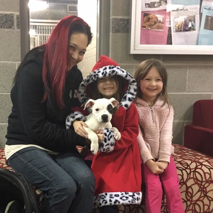 Dog Left To Die For Being Different Finally Finds Couple Who Loves Him For Who He Is Dog Left To Die For Being Different Finally Finds Couple Who Loves Him For Who He Is