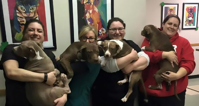 abandoned-puppies-lost-hair-mange-9