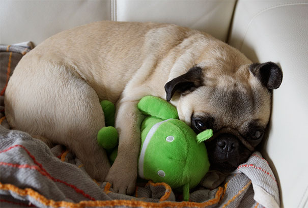 My Little Girl With Her Favourite Plush