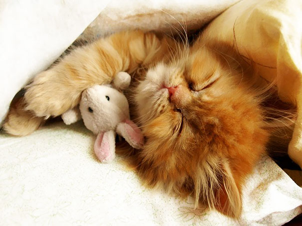 Cuddling His Little Friend