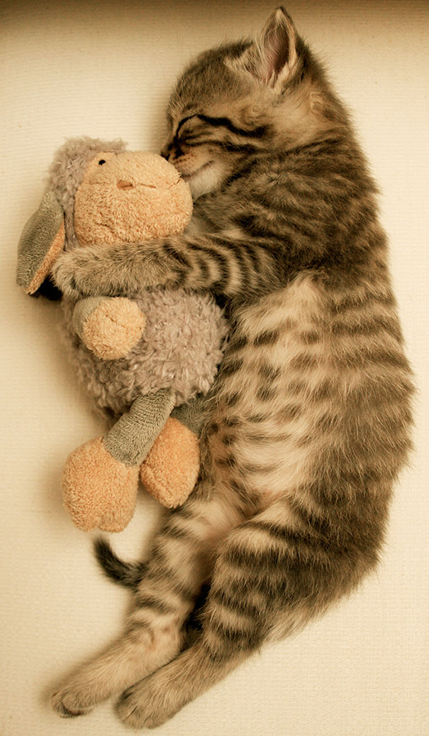 He Must Be A Shepherd In His Dream