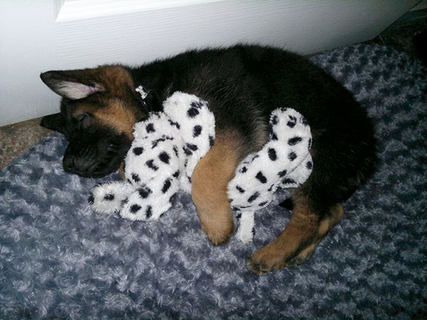Asleep Cuddling His Toy