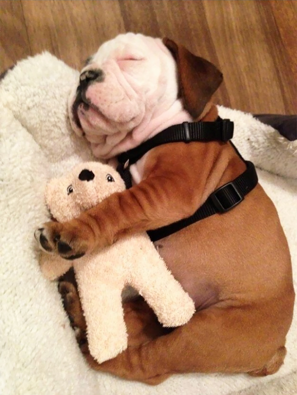 She Wouldn't Go To Sleep Without It