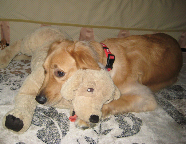 And I Won't Ever Let You Go