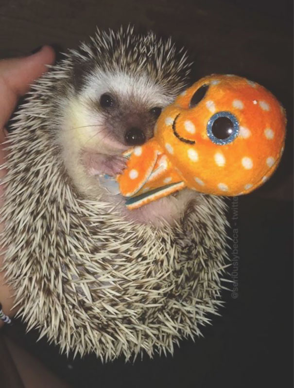 She Loves Cuddling Her Octopus