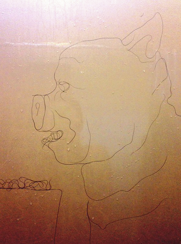 Artist Makes Drawings With Hair Falling In The Bath