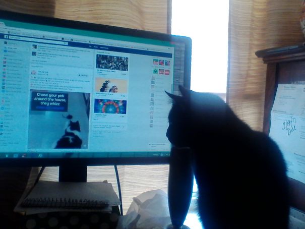 I Want That Toy. Your Charge Card Please.