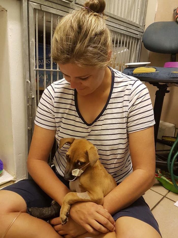 boy-walks-miles-help-dying-parvo-virus-dog-nanuk-6 boy-walks-miles-help-dying-parvo-virus-dog-nanuk-6