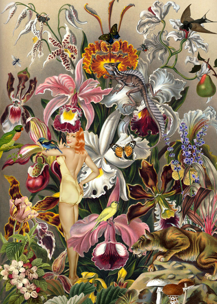 A Series Of Vintage Collages Inspired By Nature And Other Worlds