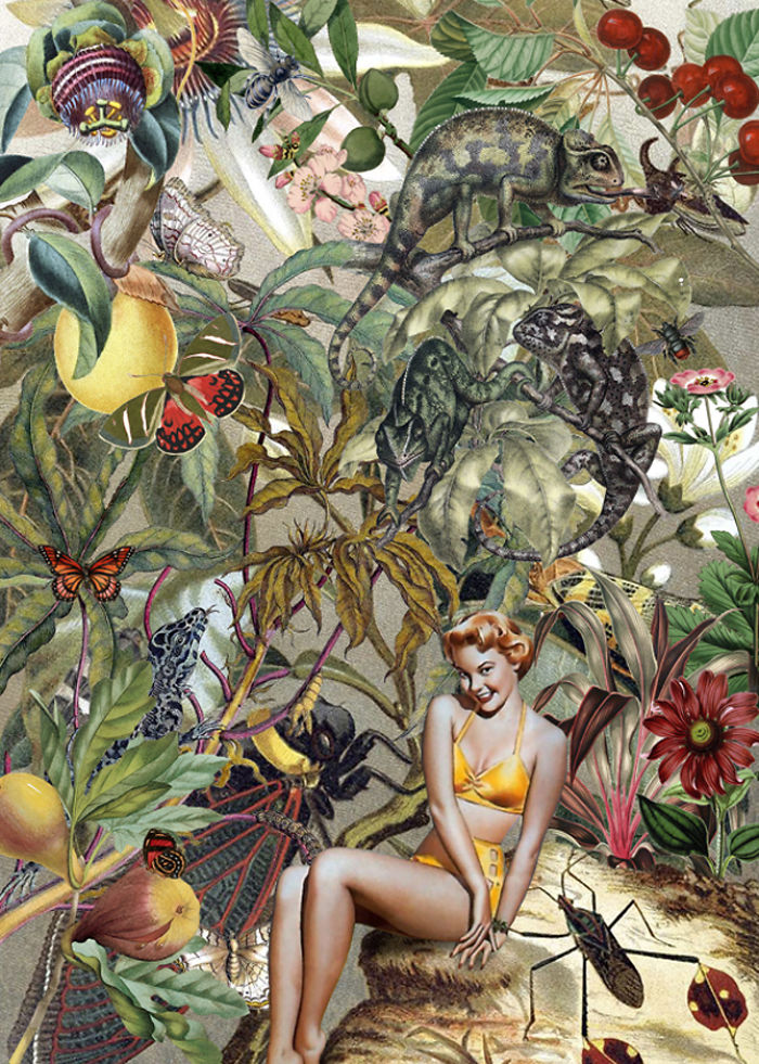 A Series Of Vintage Collages Inspired By Nature And Other Worlds A Series Of Vintage Collages Inspired By Nature And Other Worlds