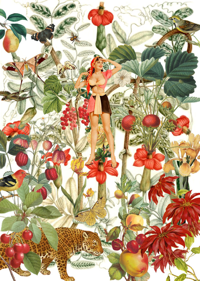 A Series Of Vintage Collages Inspired By Nature And Other Worlds