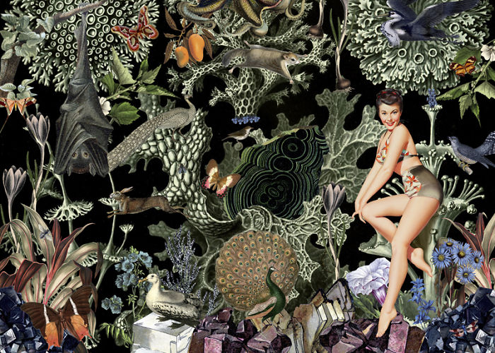 A Series Of Vintage Collages Inspired By Nature And Other Worlds